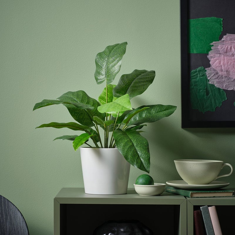 FEJKA Artificial Potted Calathea Plant, Green, 12 cm Pot - Image 2