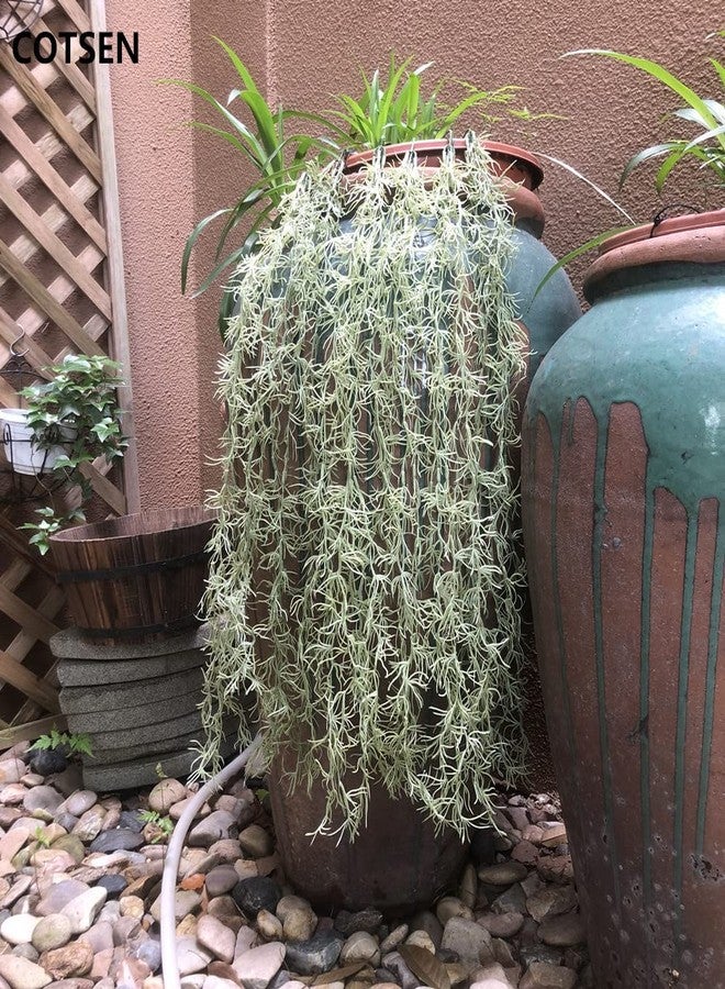 COTSEN 5 Pack Spanish Moss Faux Greenery Moss Fake Vines Moss Hanging Plants for Potted Plants Artificial Hanging Moss Garland Used for Family Indoor and Outdoor Gardens Decoration - Image 5