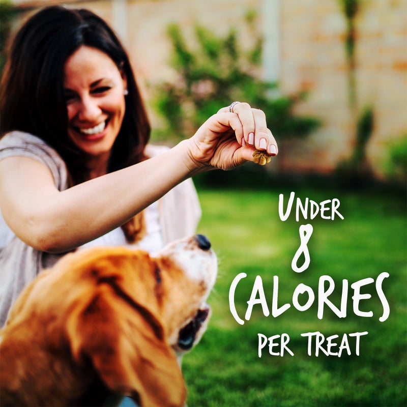 Fruitables Baked Dog Treats, Healthy Pumpkin Treat for Dogs, Low Calorie & Delicious, Free of Wheat, Corn and Soy, Made in the USA, Apple and Crispy Bacon Flavor, 12oz - Image 5