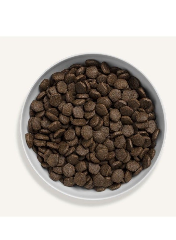 Canagan Scottish Salmon for Dogs Dry Food 12kg - Image 2
