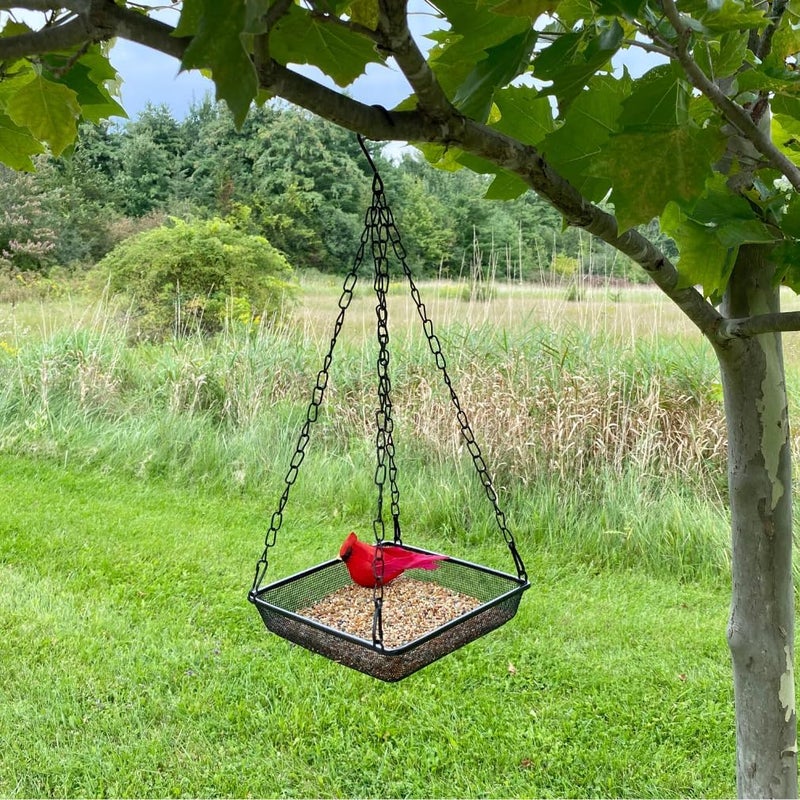 Evelots Hanging Bird Feeder Tray-4 Pack- Sturdy Metal Mesh Seed & Suet Platform-Attract Wild Birds in Backyard-Long 16 Inch Metal Chain-Water Drains Out - Image 3