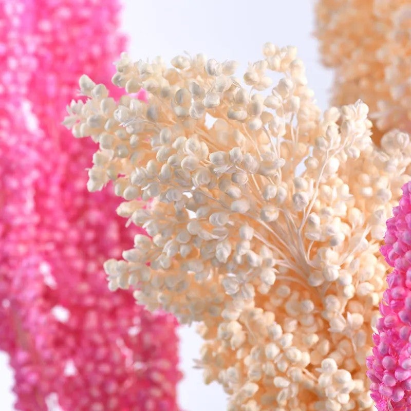 Bluejw INS Hot Sale Nordic Style Preserved Dried Flowers for Wedding Decoration – Most Popular Dried Plants Including Sorghum, Long-Lasting Natural Bouquet for Home & Event Styling - Image 4