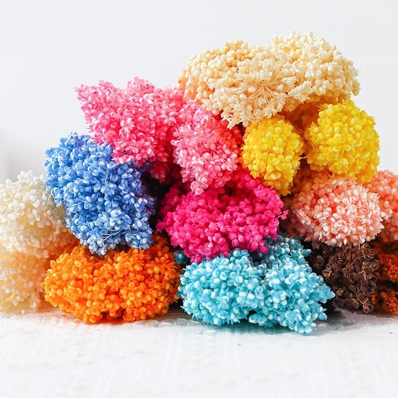 Bluejw INS Hot Sale Nordic Style Preserved Dried Flowers for Wedding Decoration – Most Popular Dried Plants Including Sorghum, Long-Lasting Natural Bouquet for Home & Event Styling - Image 2
