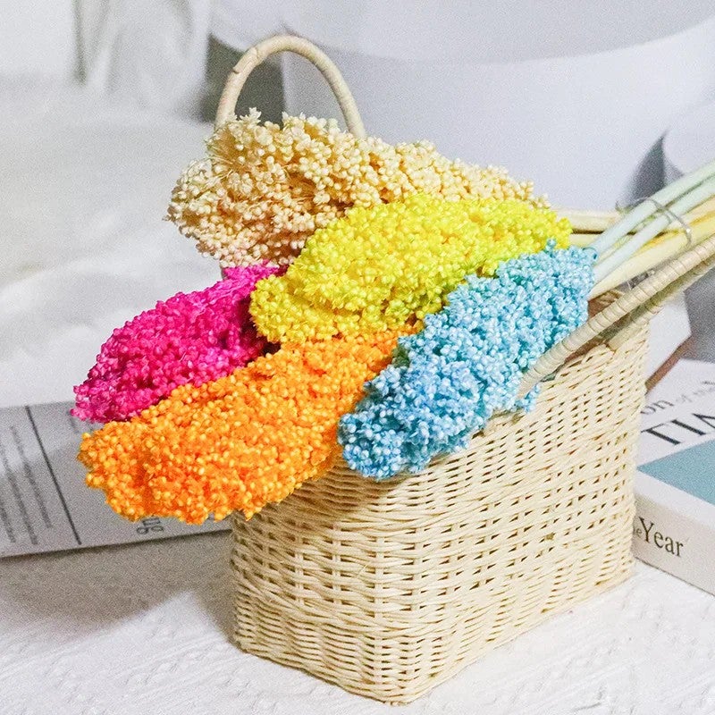 Bluejw INS Hot Sale Nordic Style Preserved Dried Flowers for Wedding Decoration – Most Popular Dried Plants Including Sorghum, Long-Lasting Natural Bouquet for Home & Event Styling - Image 3