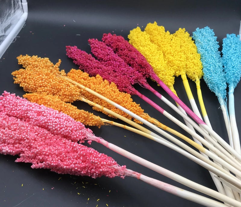 Bluejw INS Hot Sale Nordic Style Preserved Dried Flowers for Wedding Decoration – Most Popular Dried Plants Including Sorghum, Long-Lasting Natural Bouquet for Home & Event Styling - Image 5