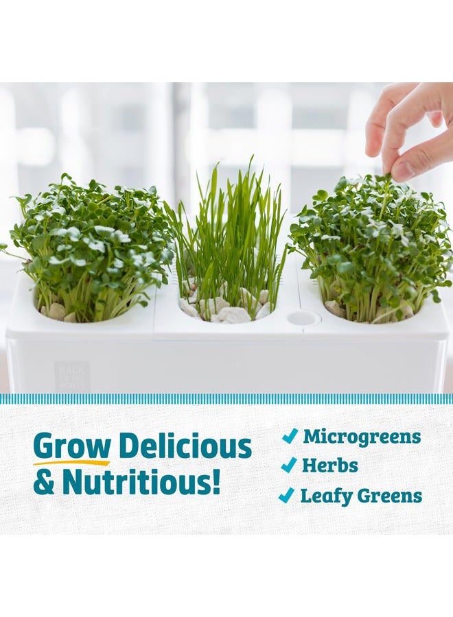 Back to the Roots حديقة أكوابونيك داخلية - 3 جالون سقاية ذاتية، مزرعة خالية من الفوضى وحوض سمك ذاتي التنظيف للأعشاب، والميكروجرين، والخيزران، والنباتات العصارية، ونباتات المنزل، تدعم الأسماك - Image 5
