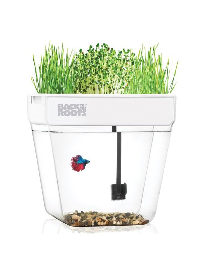 Back to the Roots حديقة أكوابونيك داخلية - 3 جالون سقاية ذاتية، مزرعة خالية من الفوضى وحوض سمك ذاتي التنظيف للأعشاب، والميكروجرين، والخيزران، والنباتات العصارية، ونباتات المنزل، تدعم الأسماك - Image 1