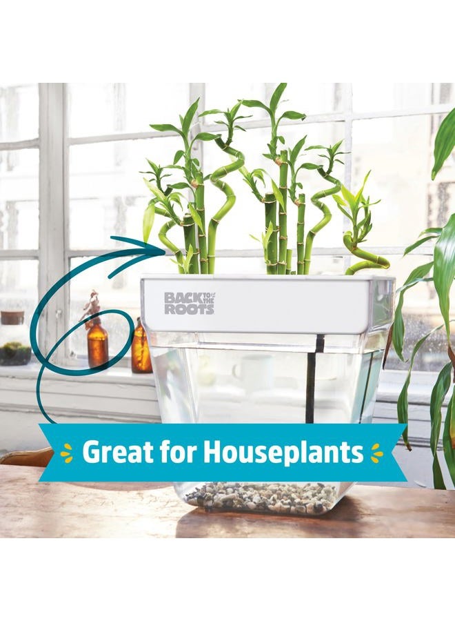 Back to the Roots حديقة أكوابونيك داخلية - 3 جالون سقاية ذاتية، مزرعة خالية من الفوضى وحوض سمك ذاتي التنظيف للأعشاب، والميكروجرين، والخيزران، والنباتات العصارية، ونباتات المنزل، تدعم الأسماك - Image 3
