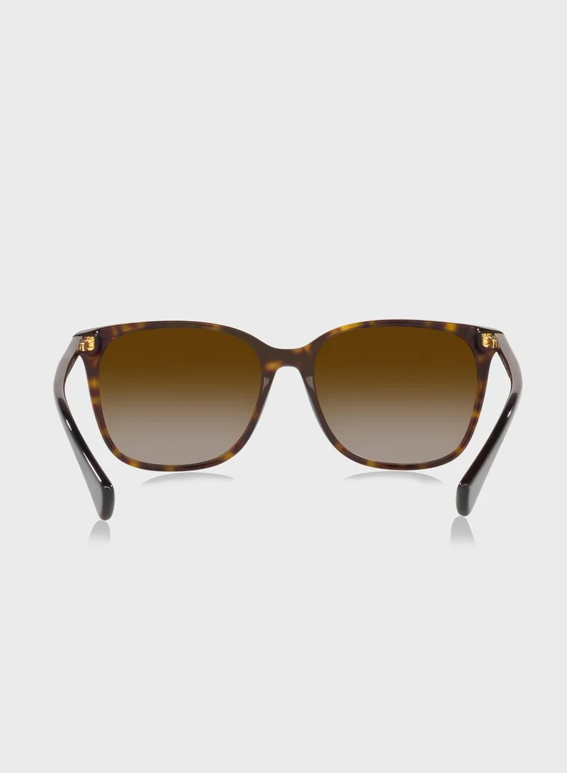 POLO RALPH LAUREN 0Ra5293 Wayfarer Sunglasses