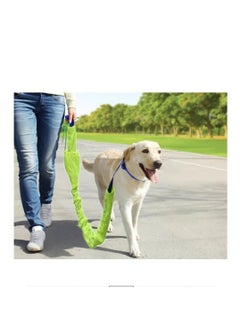 Generic Reflective Dog Leash Set  - Image 4