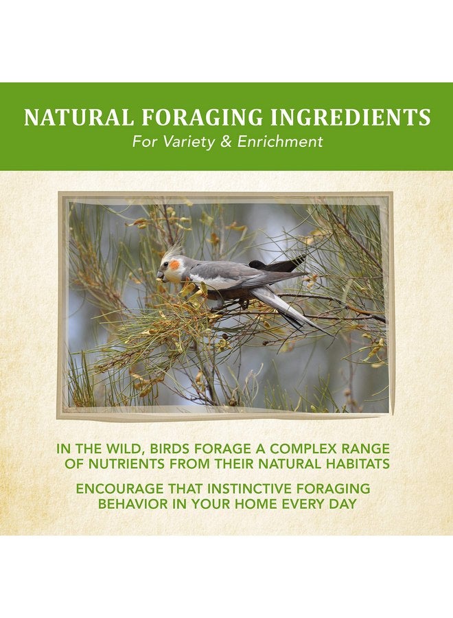 Kaytee Food from The Wild Natural Pet Cockatiel Bird Food, 2.5 Pound - Image 5
