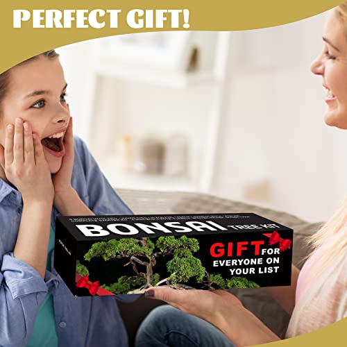Meekear Bonsai Tree Kit with Complete Growing Starter Kit, Great Potted Growing DIY Gift for Adults - Image 4