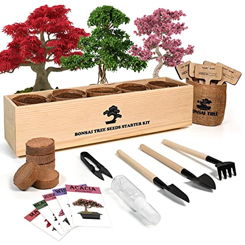 Meekear Bonsai Tree Kit with Complete Growing Starter Kit, Great Potted Growing DIY Gift for Adults - Image 1