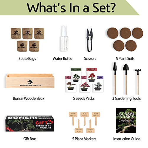 Meekear Bonsai Tree Kit with Complete Growing Starter Kit, Great Potted Growing DIY Gift for Adults - Image 2