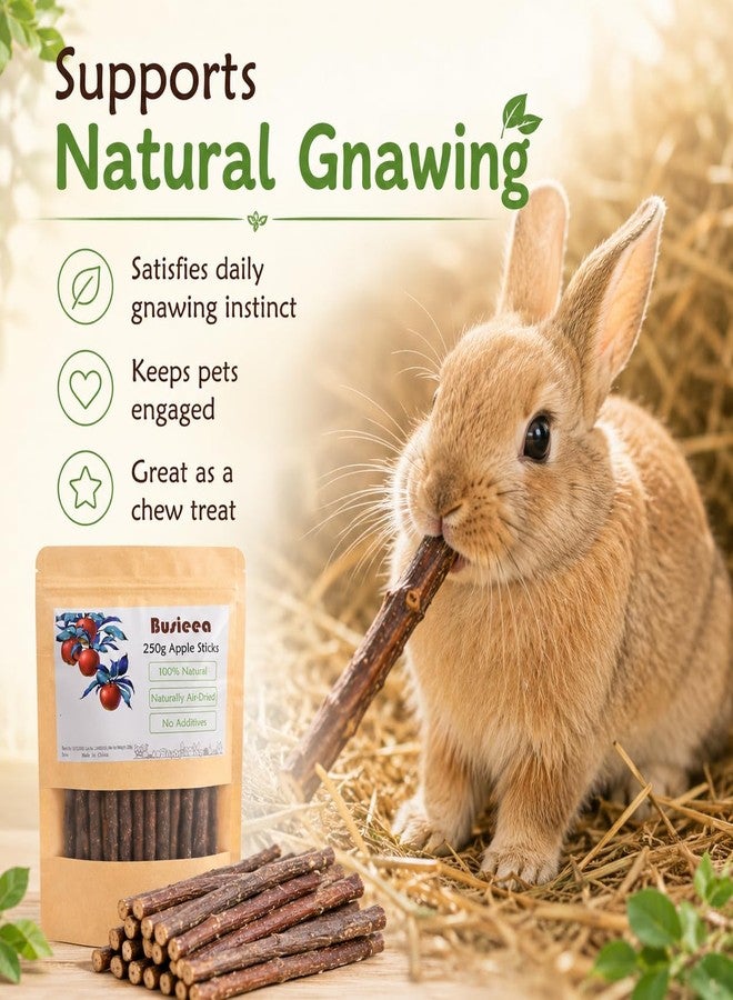 Busieea Premium Natural Apple Sticks - 100g/3.52 OZ MINI Trial Pack - Perfect for 1 Pet, Molar Chew Treats for Rabbits Chinchillas Guinea Pigs Hamsters Small Animals - Image 4