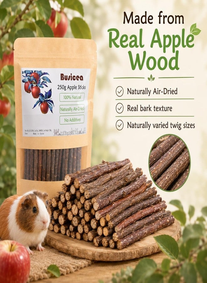 Busieea Premium Natural Apple Sticks - 100g/3.52 OZ MINI Trial Pack - Perfect for 1 Pet, Molar Chew Treats for Rabbits Chinchillas Guinea Pigs Hamsters Small Animals - Image 5