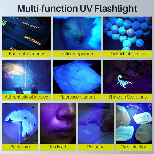 BORUIT V20 Small Powerful EDC Flashlight Bright USB C Rechargeable 365nm UV Keychain Flash Light 180°Head Swivels, Two-Way Clip, Magnet, with Multi-Color COB Light-13 Mode(White UV Edition) - Image 3