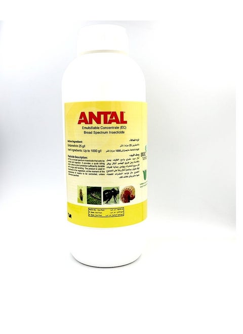 ANTAL Broad Spectrum Insecticides 1000ml ITALY