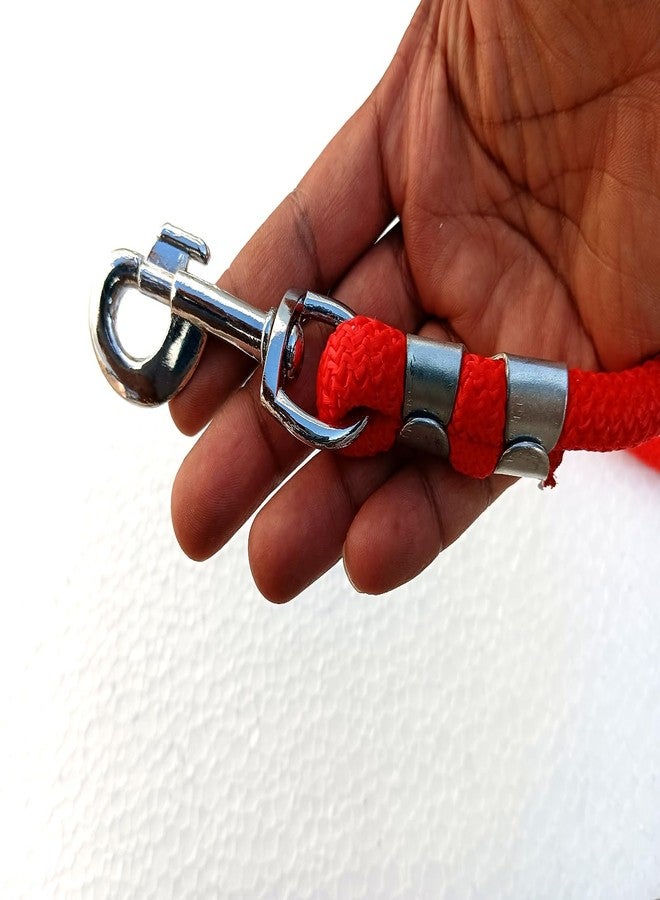 Double Dog Red Braided rope12mm L-152cm - Image 4