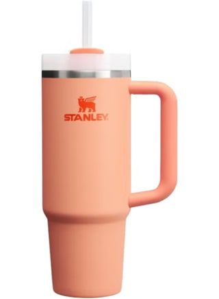 STANLEY 40oz Quencher H2.0 Tumbler with Handle and Straw – Reusable Stainless Steel Travel Mug in Nectarine – Double Wall Vacuum Insulated, Leak-Resistant with 3-Position FlowState Lid – BPA-Free Cup for Iced Coffee, Water, and Cold Drinks on the Go - pzsku/Z0B4C67BB444A573D6822Z/45/1746963984/8b5fe094-2cbb-4410-bef1-17f5e63507ef