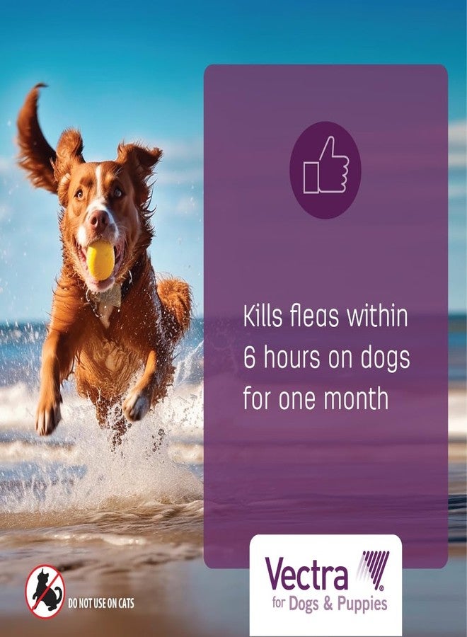 Vectra® for Dogs & Puppies Flea Treatment & Prevention for Extra Small Dogs (2.5 - 10 lbs.) 3-Month Supply - Image 3