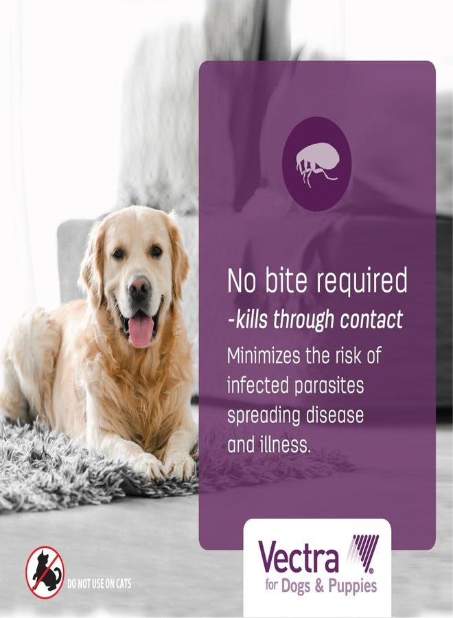 Vectra® for Dogs & Puppies Flea Treatment & Prevention for Extra Small Dogs (2.5 - 10 lbs.) 3-Month Supply - Image 4