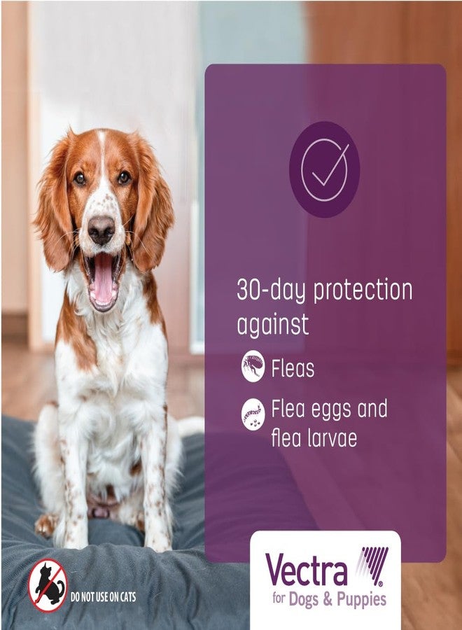 Vectra® for Dogs & Puppies Flea Treatment & Prevention for Extra Small Dogs (2.5 - 10 lbs.) 3-Month Supply - Image 5