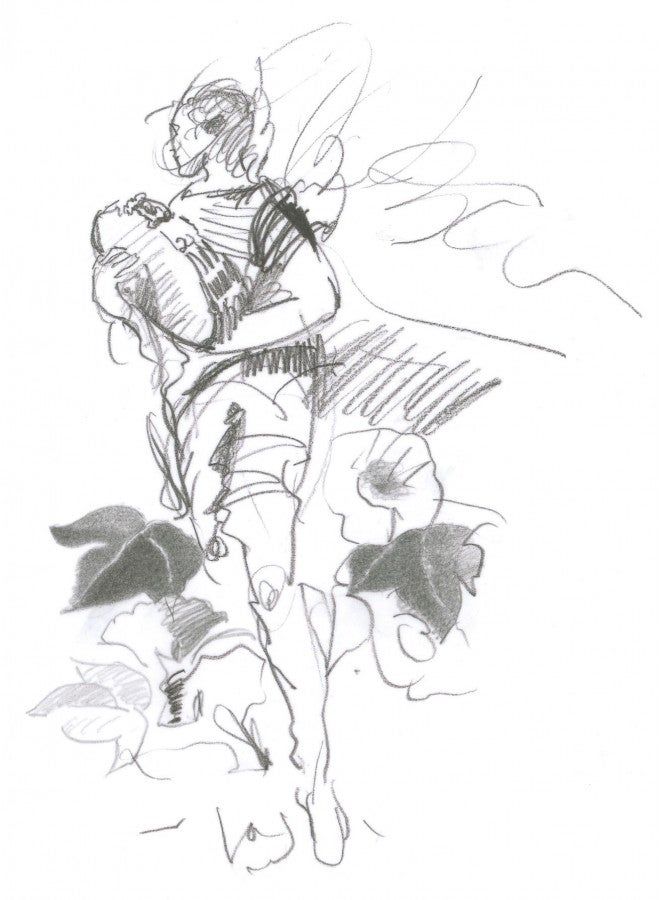 FABER-CASTELL فابر-كاستل كاستيل 9000 - أقلام رصاص خشبية (HB، أسود، مثلث)  - Image 3