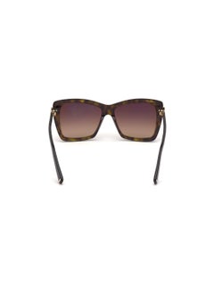 TOM FORD Rimless Acetate Brown Women Sunglass - pzsku/Z0B5022E1040537B8CDA8Z/45/_/1738942126/5351ceaf-8691-4d0f-92c2-d44ca57f91b7