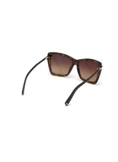 TOM FORD Rimless Acetate Brown Women Sunglass - pzsku/Z0B5022E1040537B8CDA8Z/45/_/1738942129/f4f0b394-adbc-489e-8849-249c2a5d801a