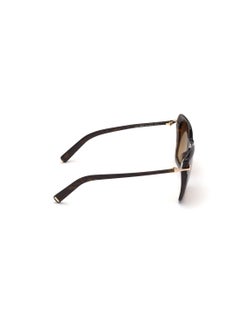 TOM FORD Rimless Acetate Brown Women Sunglass - pzsku/Z0B5022E1040537B8CDA8Z/45/_/1738942130/0d172aa1-0ec9-4e94-b03f-713223ffa700