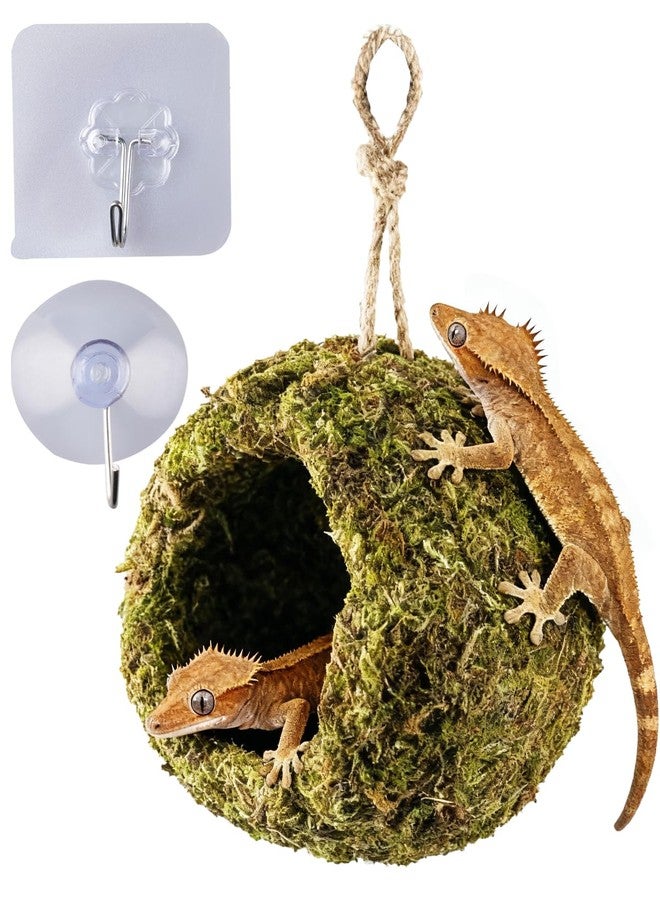 ORBIDYN Handmade Crested Gecko Tank Accessories - Bearded Dragon Accessories, Reptile Hideout, Hermit Crab and Small Reptile Habitat 4.7×3.5×9in - Image 1