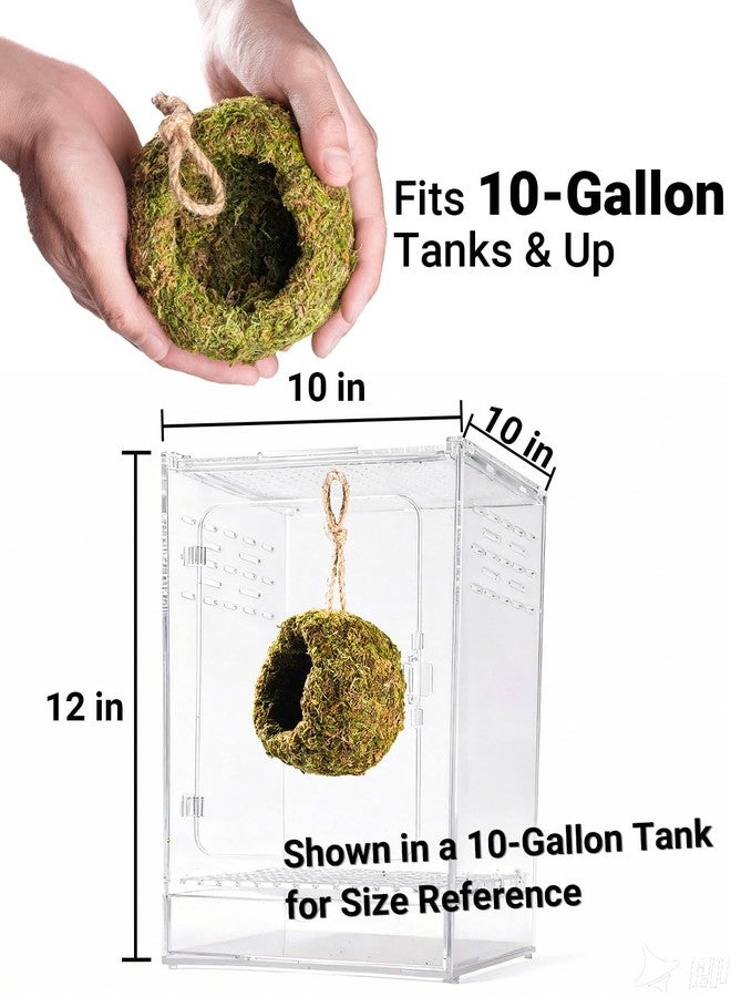 ORBIDYN Handmade Crested Gecko Tank Accessories - Bearded Dragon Accessories, Reptile Hideout, Hermit Crab and Small Reptile Habitat 4.7×3.5×9in - Image 4