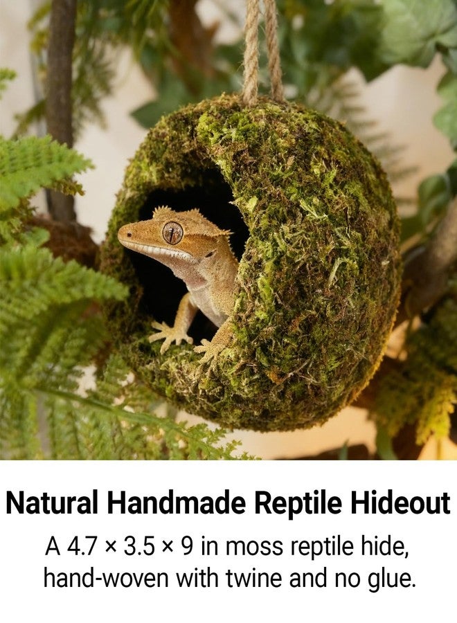 ORBIDYN Handmade Crested Gecko Tank Accessories - Bearded Dragon Accessories, Reptile Hideout, Hermit Crab and Small Reptile Habitat 4.7×3.5×9in - Image 2