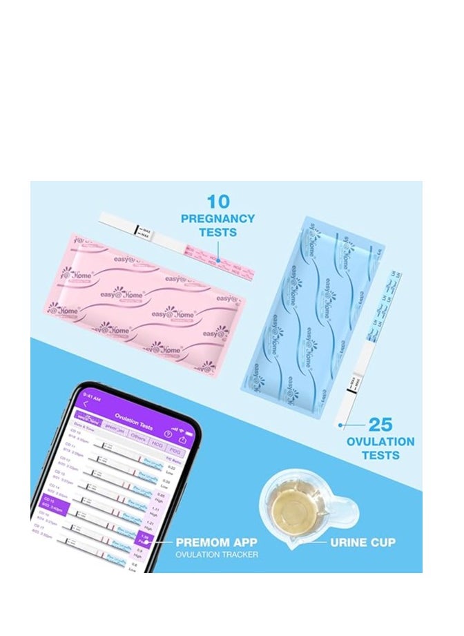 Easy Home 25 Ovulation & 10 Pregnancy Test Strips Kit: Accurate Ovulation Predictor Kits with Cups 25LH + 10HCG + 35 Urine Specimen Cups  - Image 4