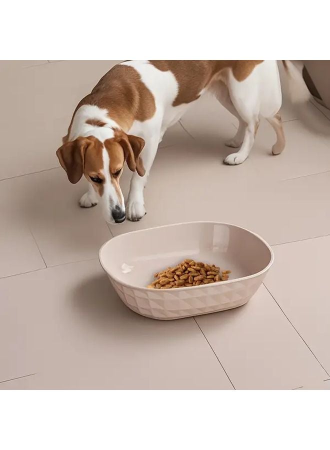 4 Piece Set Cat Bowls Leak Proof Anti Fatigue Shallow Pet Food Dish Set - Image 5