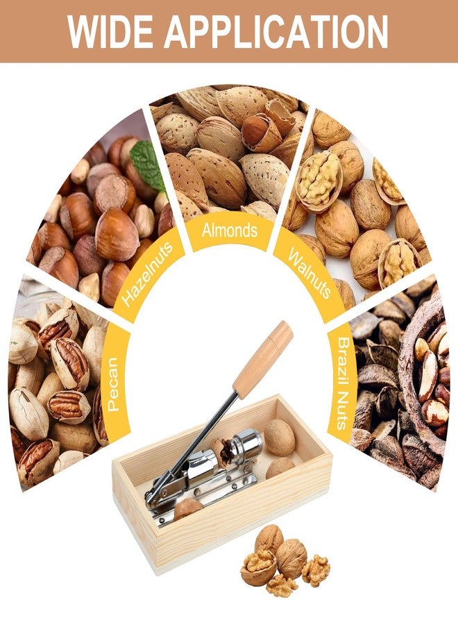 Zalaxt Manual Nut Cracker for Walnuts, Chestnuts, Almonds, Pecans, Hazelnuts with Wooden Storage Base - Image 5