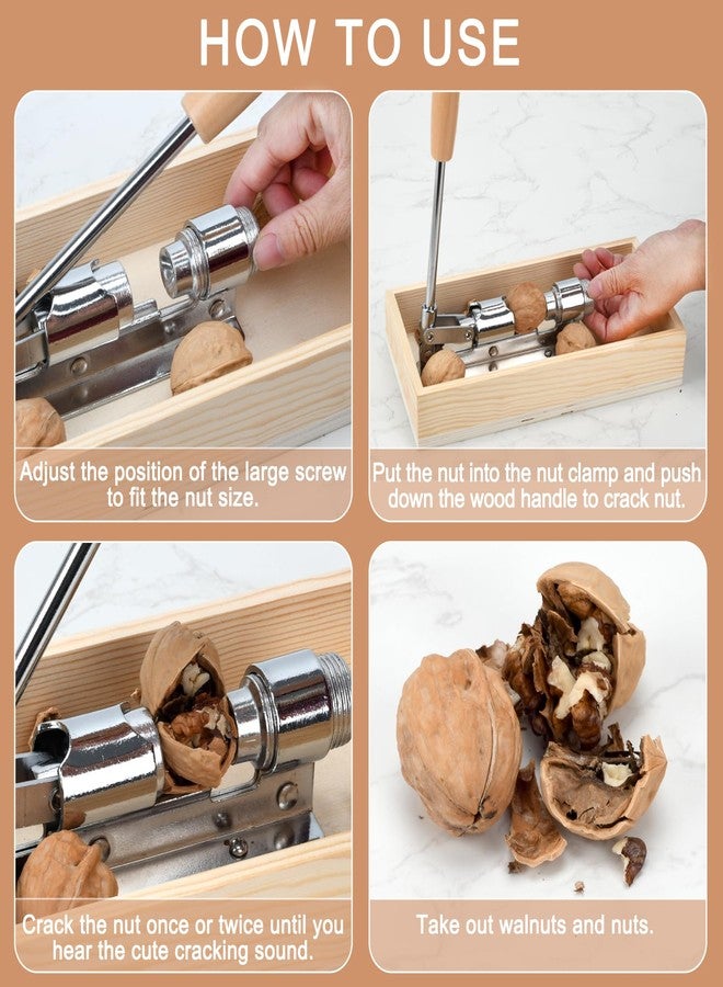 Zalaxt Manual Nut Cracker for Walnuts, Chestnuts, Almonds, Pecans, Hazelnuts with Wooden Storage Base - Image 4