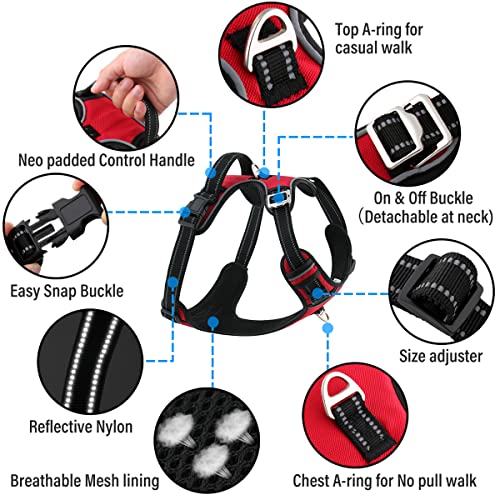 HANK Dog Harness | 3M Reflective | Body Vest for Small Dogs | Soft Comfortable | Adjustable Buckles | No Pull Harness for Training, Walking (Red - S (4-13Kg) - Image 2