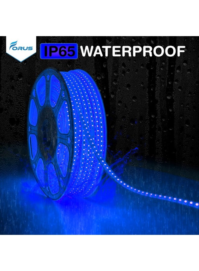 Forus LED Rope Light 40 Meter 2 Year Warranty, Outdoor Waterproof Decorative Cove Lights for Ceiling, Balcony, Home Decor, Interior Decoration, Flexible Profile Light for Diwali, Christmas -Blue - Image 5