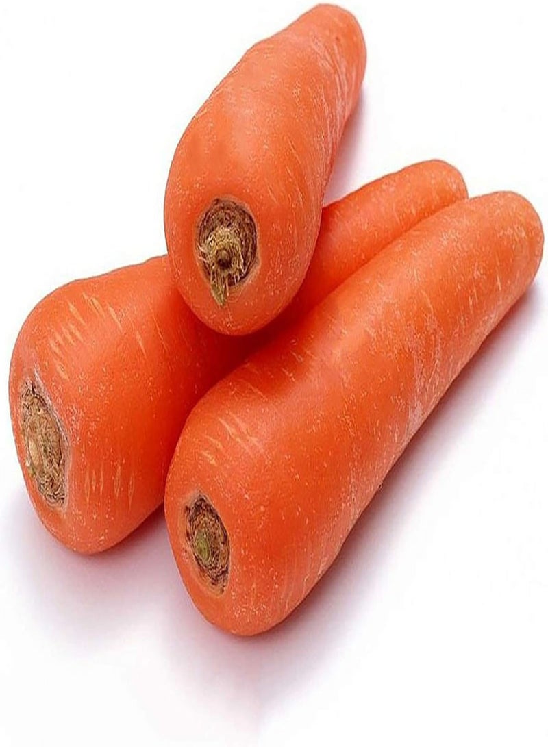 GGOOT 200 Pcs/Bag Carrot Seeds Easy to Grow Delicious Vegetables Mini Garden Carrot Seeds Yard Carrot* - Image 5