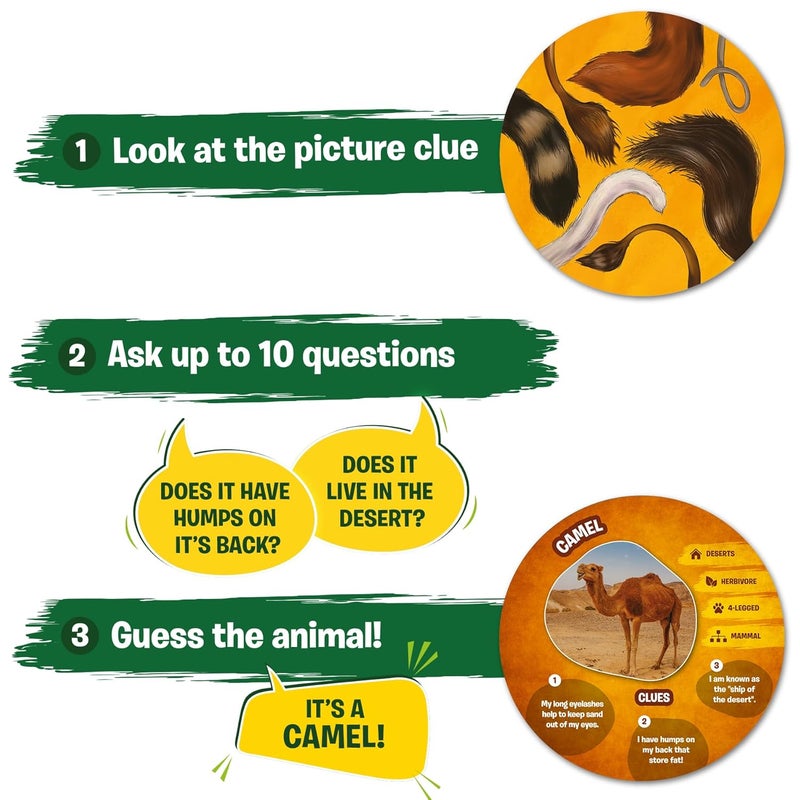 Skillmatics Guess in 10 Animal Picture Clues, Perfect for Boys, Girls, Kids, and Families Who Love, Card Games, Educational Games, Board Games, Gifts for Ages 6, 7, 8, 9 and Up - Image 4