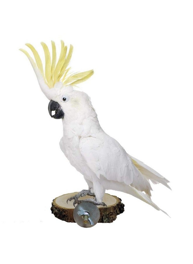 هامليدي منصة هاميليدي بيرش لقفص الطيور، منصة خشبية دائرية طبيعية لعبة طيور للكناري والببغاء والكوكاتيل والبادجي والعصفور (3 قطع) - Image 4