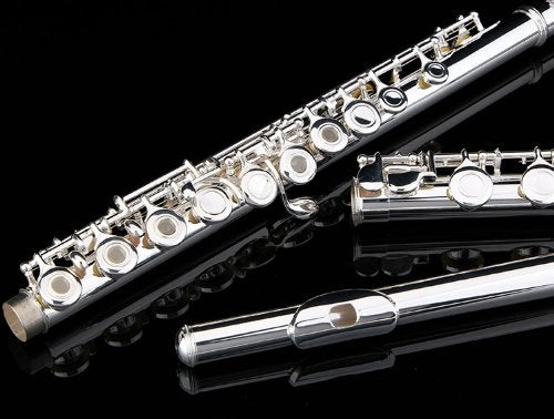 Glory Silver Plated Intermediate 17keys, Open/closed Hole C Flute with B Foot Joint,Offset G, with Case,cleaning Rod, Cloth and Gloves - Image 5