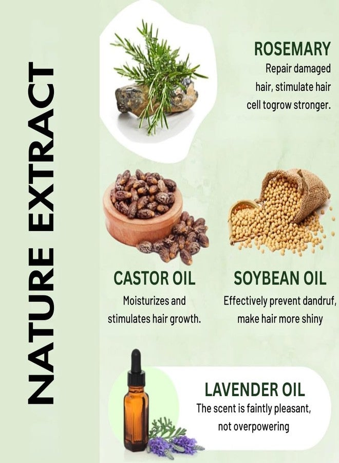 Phillauri Rosemary Water Spray For Hair Growth |Hair Thickness With Rosemary Water | spray for Improves Scalp Health | rosemary Serum | Hair Growth Spray - (Pack 2) - Image 2