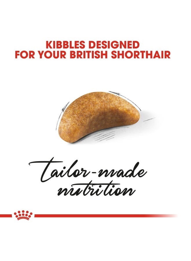 رويال كانين تغذية سلالة القطط البريطانية قصيرة الشعر 2 كجم - Image 4