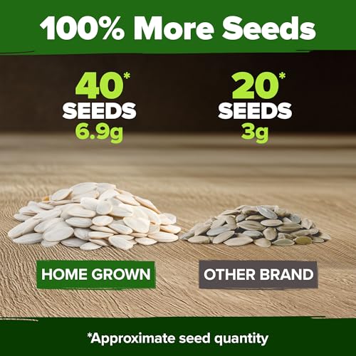 HOME GROWN 𝗨𝗦𝗔 𝗣𝗥𝗘𝗠𝗜𝗨𝗠 5 Pumpkin Seeds Mix - 40 Seeds 𝗡𝗢𝗡-𝗚𝗠𝗢 Heirloom Pumpkin for Planting Ideal Garden for Unique Varieties Yellow Paris and Casper, Culinary and Decorative Use - Image 3