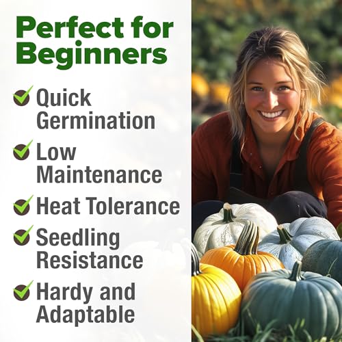 HOME GROWN 𝗨𝗦𝗔 𝗣𝗥𝗘𝗠𝗜𝗨𝗠 5 Pumpkin Seeds Mix - 40 Seeds 𝗡𝗢𝗡-𝗚𝗠𝗢 Heirloom Pumpkin for Planting Ideal Garden for Unique Varieties Yellow Paris and Casper, Culinary and Decorative Use - Image 4