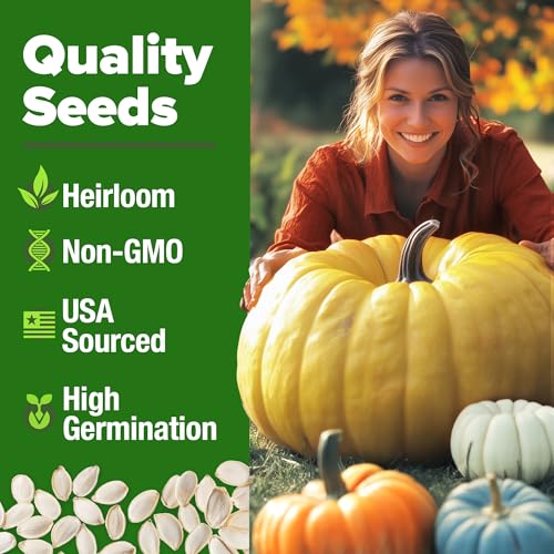 HOME GROWN 𝗨𝗦𝗔 𝗣𝗥𝗘𝗠𝗜𝗨𝗠 5 Pumpkin Seeds Mix - 40 Seeds 𝗡𝗢𝗡-𝗚𝗠𝗢 Heirloom Pumpkin for Planting Ideal Garden for Unique Varieties Yellow Paris and Casper, Culinary and Decorative Use - Image 5