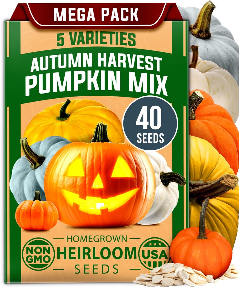 HOME GROWN 𝗨𝗦𝗔 𝗣𝗥𝗘𝗠𝗜𝗨𝗠 5 Pumpkin Seeds Mix - 40 Seeds 𝗡𝗢𝗡-𝗚𝗠𝗢 Heirloom Pumpkin for Planting Ideal Garden for Unique Varieties Yellow Paris and Casper, Culinary and Decorative Use - Image 1